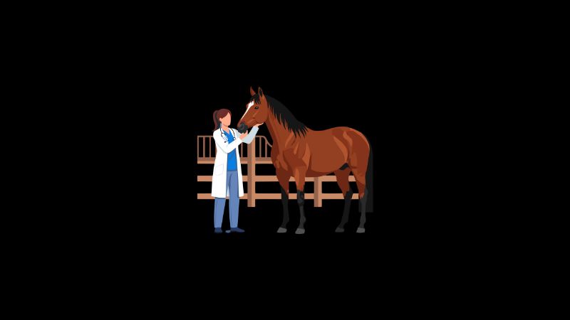 Does Equine Therapy for PTSD Really Work?