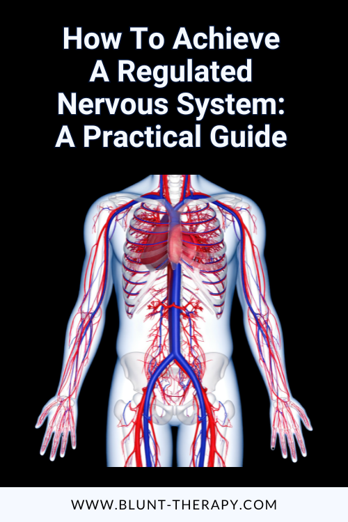 How To Achieve A Regulated Nervous System: A Practical Guide